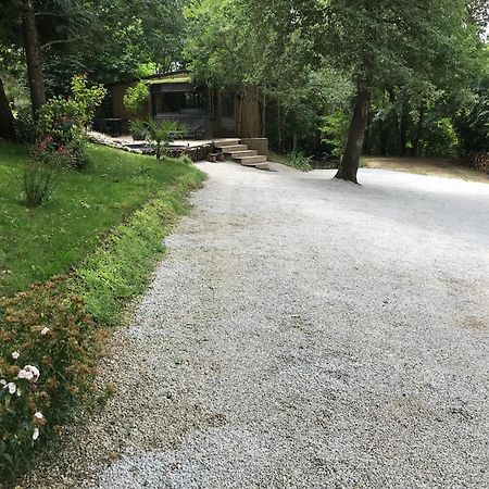 Bus Atypique Au Bord Du Canal Du Midi Et Au Coeur D'Une Foret 2 Chambres Villepinte  Exteriér fotografie