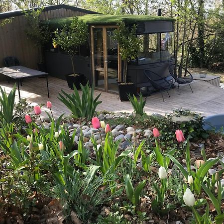 Bus Atypique Au Bord Du Canal Du Midi Et Au Coeur D'Une Foret 2 Chambres Villepinte  Exteriér fotografie