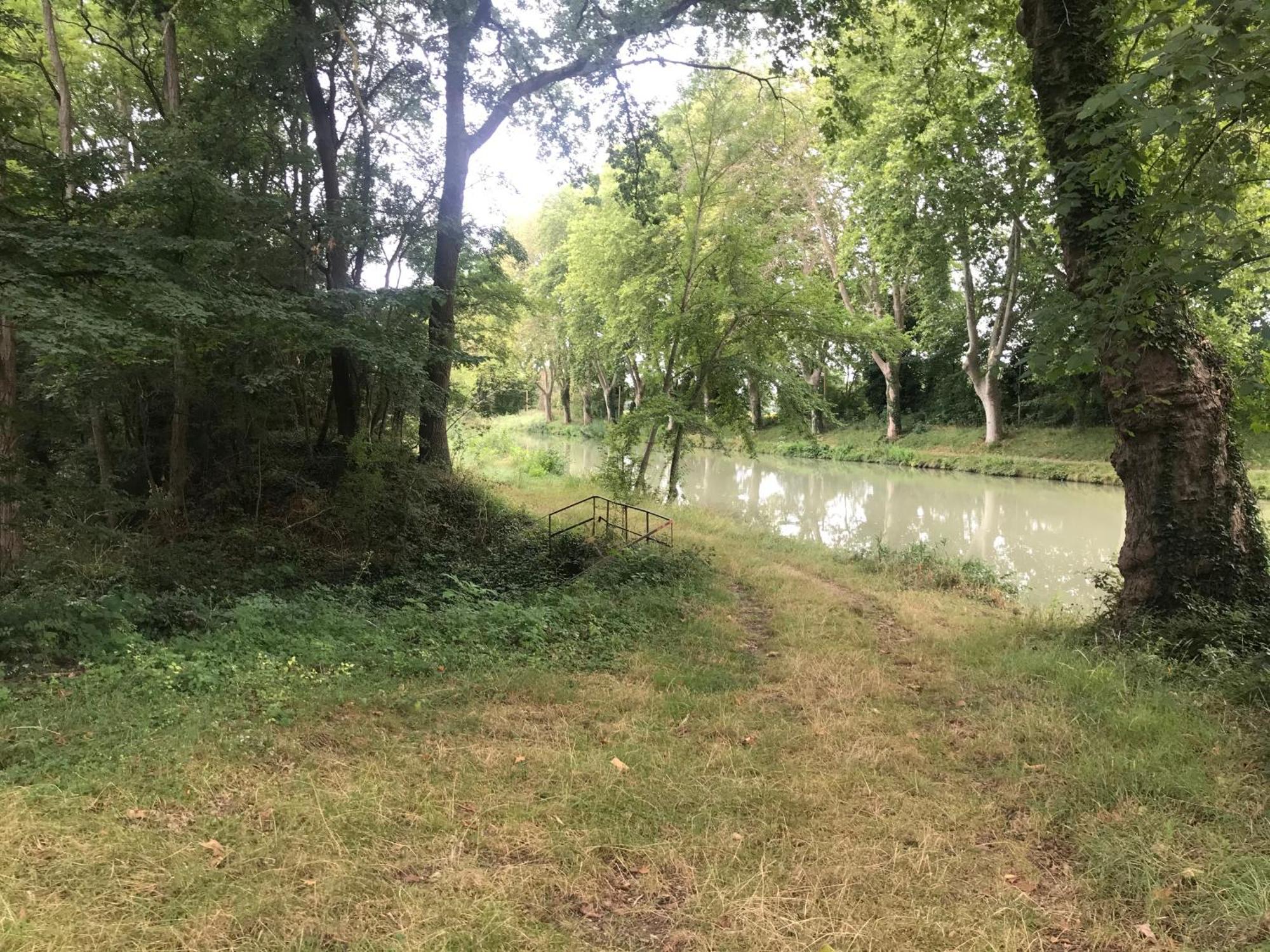 Bus Atypique Au Bord Du Canal Du Midi Et Au Coeur D'Une Foret 2 Chambres Villepinte  Exteriér fotografie