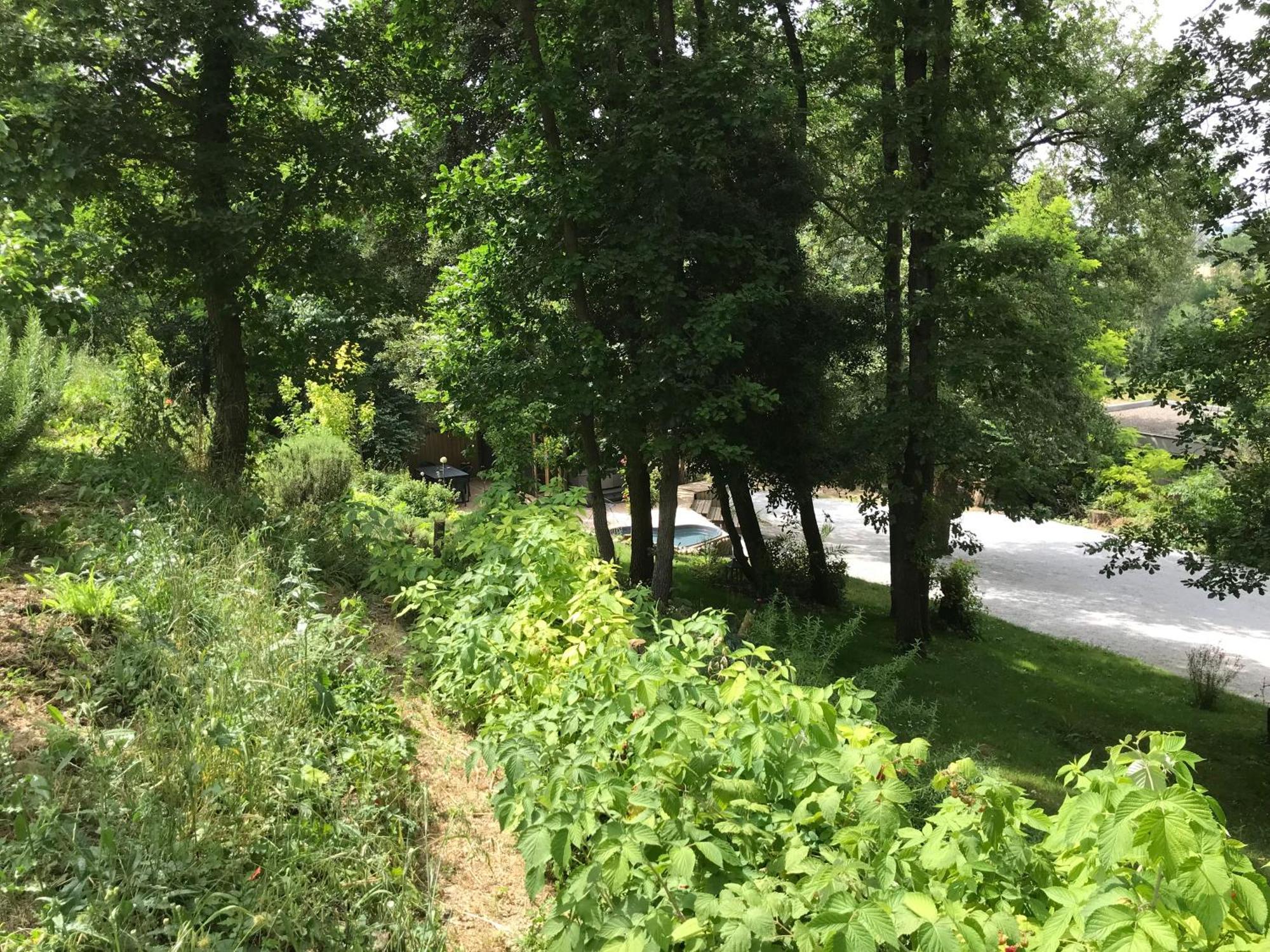 Bus Atypique Au Bord Du Canal Du Midi Et Au Coeur D'Une Foret 2 Chambres Villepinte  Exteriér fotografie