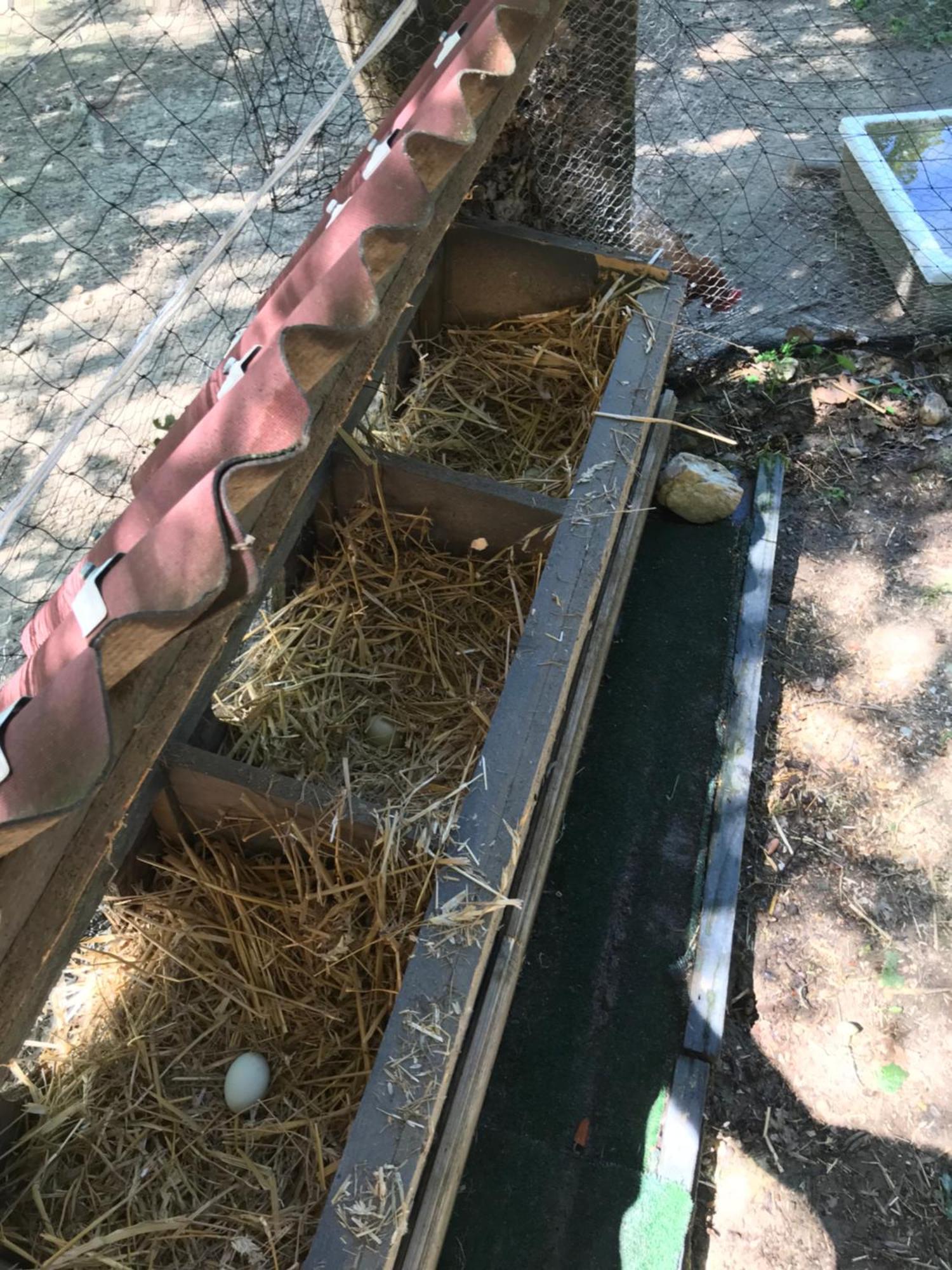 Bus Atypique Au Bord Du Canal Du Midi Et Au Coeur D'Une Foret 2 Chambres Villepinte  Exteriér fotografie