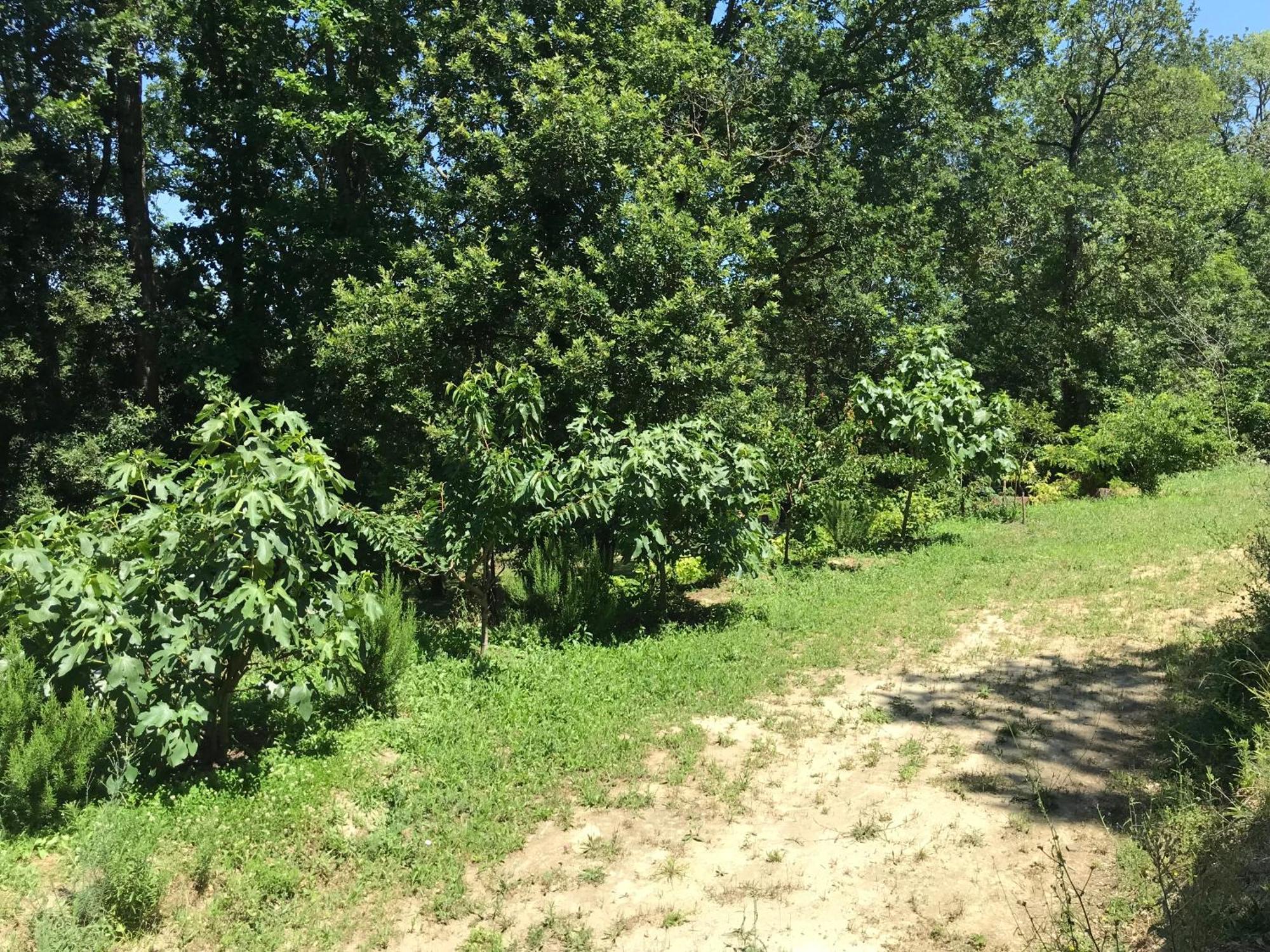 Bus Atypique Au Bord Du Canal Du Midi Et Au Coeur D'Une Foret 2 Chambres Villepinte  Exteriér fotografie